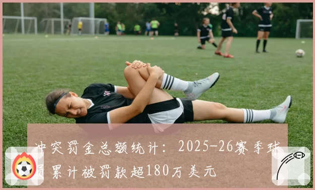冲突罚金总额统计：2025-26赛季球员累计被罚款超180万美元