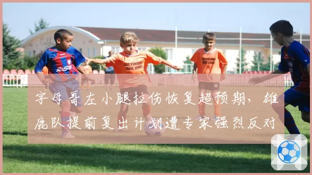 字母哥左小腿拉伤恢复超预期,雄鹿队提前复出计划遭专家强烈反对