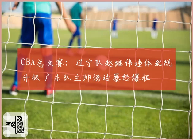 CBA总决赛：辽宁队赵继伟违体犯规升级 广东队主帅场边暴怒爆粗