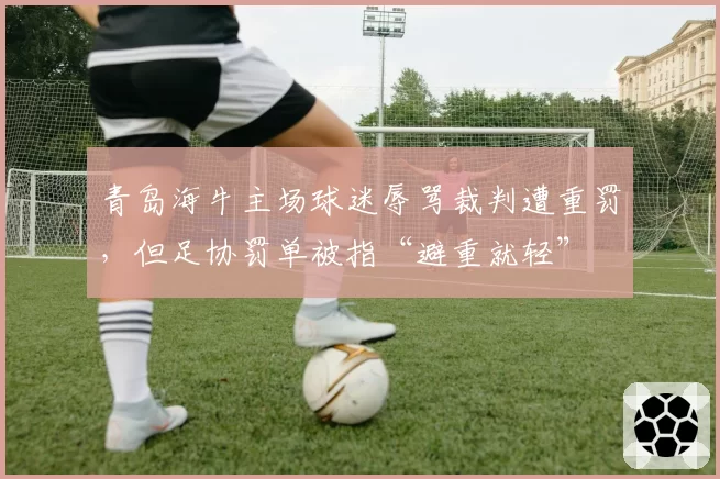 青岛海牛主场球迷辱骂裁判遭重罚，但足协罚单被指“避重就轻”