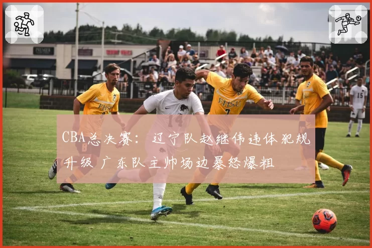 CBA总决赛：辽宁队赵继伟违体犯规升级 广东队主帅场边暴怒爆粗