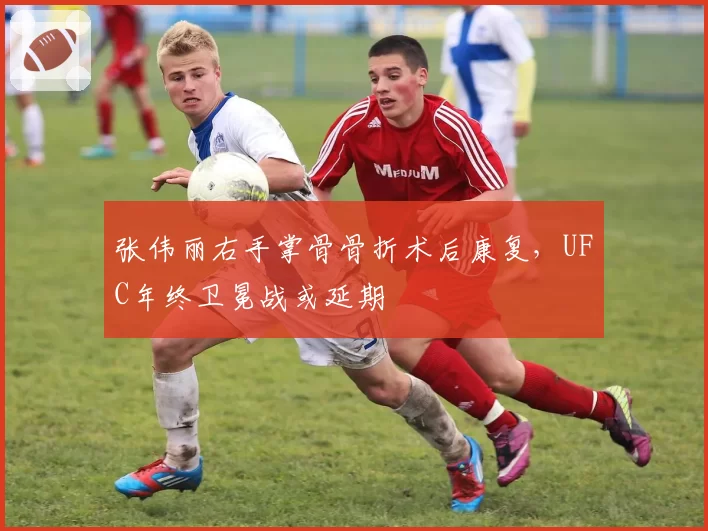 张伟丽右手掌骨骨折术后康复，UFC年终卫冕战或延期