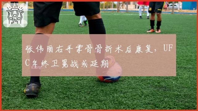 张伟丽右手掌骨骨折术后康复,UFC年终卫冕战或延期