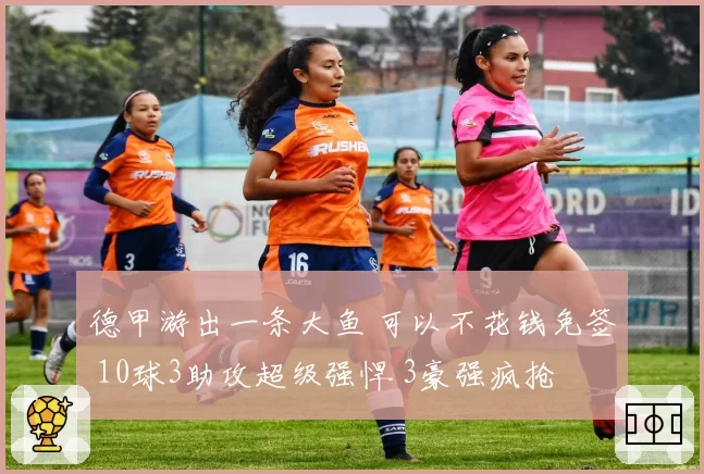 德甲游出一条大鱼 可以不花钱免签 10球3助攻超级强悍 3豪强疯抢