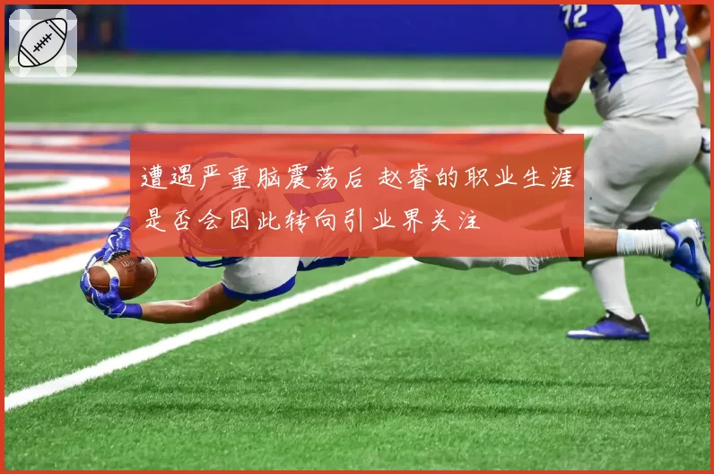 遭遇严重脑震荡后 赵睿的职业生涯是否会因此转向引业界关注